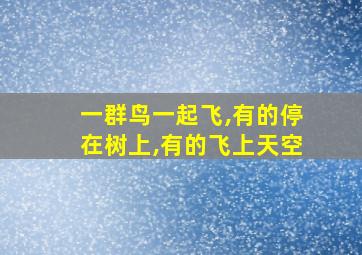 一群鸟一起飞,有的停在树上,有的飞上天空