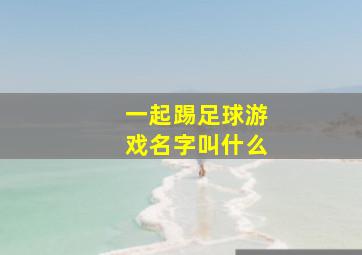 一起踢足球游戏名字叫什么