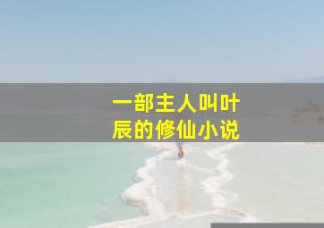 一部主人叫叶辰的修仙小说