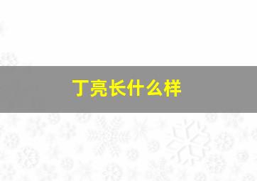 丁亮长什么样