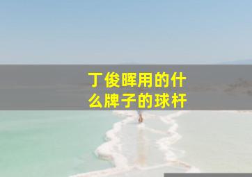 丁俊晖用的什么牌子的球杆