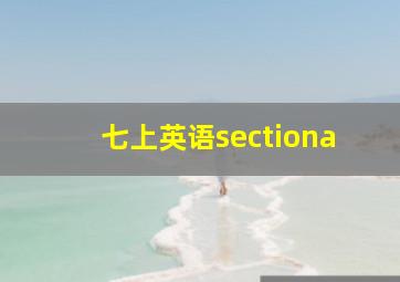 七上英语sectiona