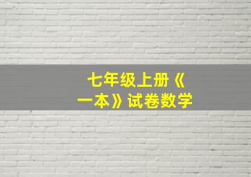 七年级上册《一本》试卷数学