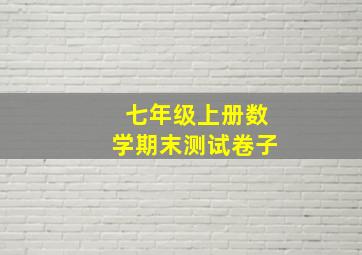 七年级上册数学期末测试卷子