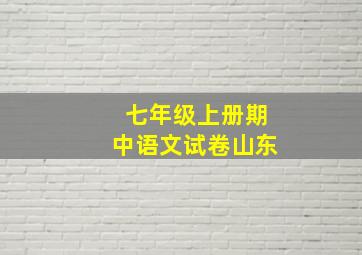 七年级上册期中语文试卷山东