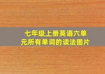 七年级上册英语六单元所有单词的读法图片