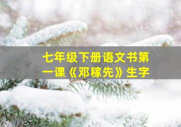 七年级下册语文书第一课《邓稼先》生字