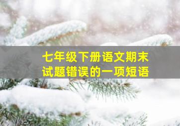 七年级下册语文期末试题错误的一项短语