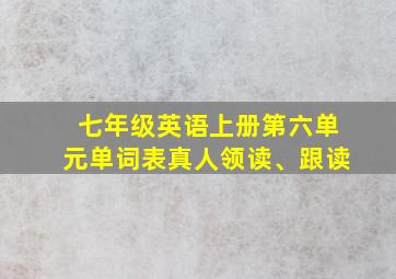 七年级英语上册第六单元单词表真人领读、跟读