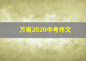 万唯2020中考作文