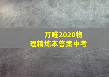 万唯2020物理精炼本答案中考