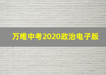 万唯中考2020政治电子版