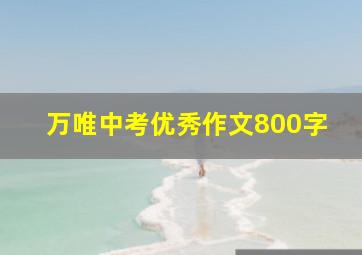 万唯中考优秀作文800字