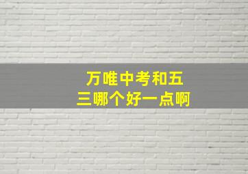 万唯中考和五三哪个好一点啊