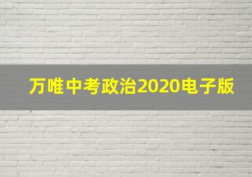 万唯中考政治2020电子版