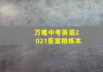 万唯中考英语2021答案精练本