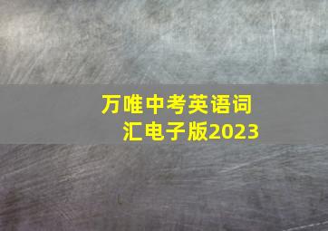 万唯中考英语词汇电子版2023