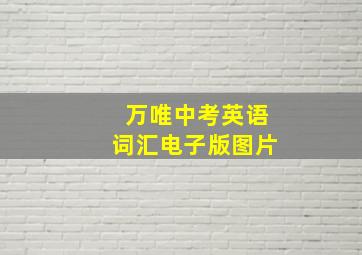 万唯中考英语词汇电子版图片