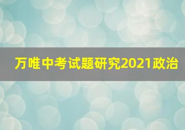 万唯中考试题研究2021政治