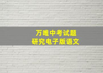 万唯中考试题研究电子版语文