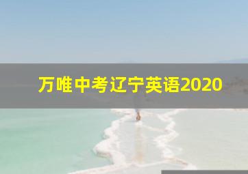 万唯中考辽宁英语2020