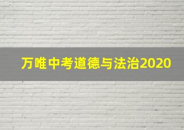 万唯中考道德与法治2020