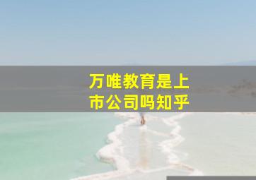 万唯教育是上市公司吗知乎