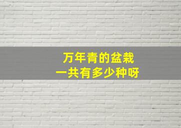 万年青的盆栽一共有多少种呀