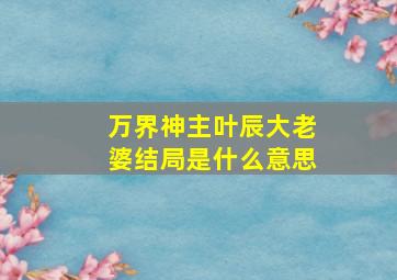 万界神主叶辰大老婆结局是什么意思