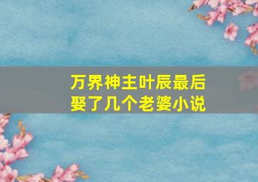 万界神主叶辰最后娶了几个老婆小说