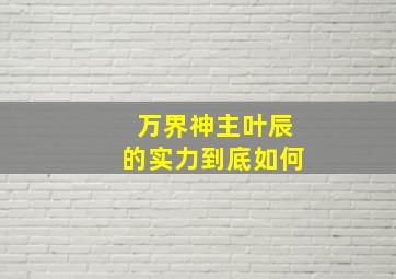 万界神主叶辰的实力到底如何