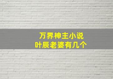 万界神主小说叶辰老婆有几个