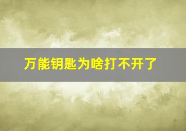 万能钥匙为啥打不开了