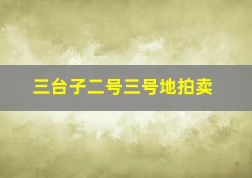 三台子二号三号地拍卖