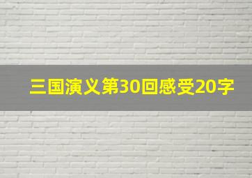 三国演义第30回感受20字