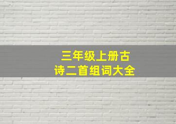 三年级上册古诗二首组词大全