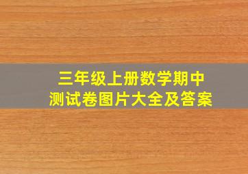 三年级上册数学期中测试卷图片大全及答案