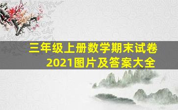 三年级上册数学期末试卷2021图片及答案大全