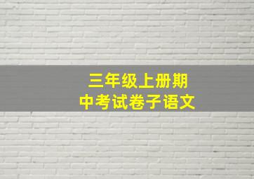 三年级上册期中考试卷子语文