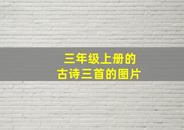 三年级上册的古诗三首的图片