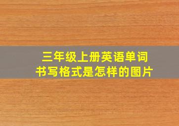 三年级上册英语单词书写格式是怎样的图片