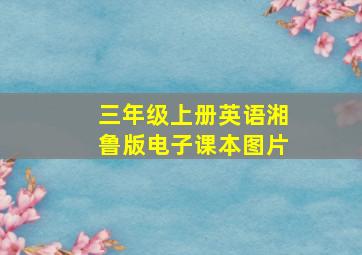 三年级上册英语湘鲁版电子课本图片