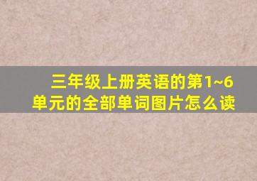 三年级上册英语的第1~6单元的全部单词图片怎么读