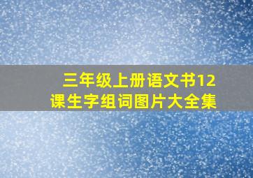 三年级上册语文书12课生字组词图片大全集