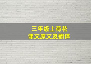 三年级上荷花课文原文及翻译