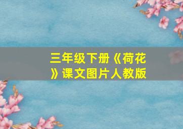 三年级下册《荷花》课文图片人教版