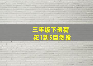 三年级下册荷花1到5自然段