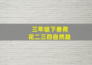 三年级下册荷花二三四自然段