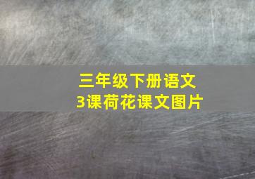 三年级下册语文3课荷花课文图片