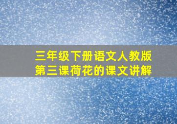 三年级下册语文人教版第三课荷花的课文讲解